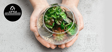 Terrarium workshop