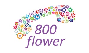 800 Flower in Dubai