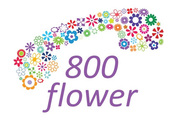 800 زهرة في دبي