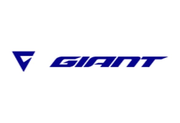 Giant logo in bold blue text